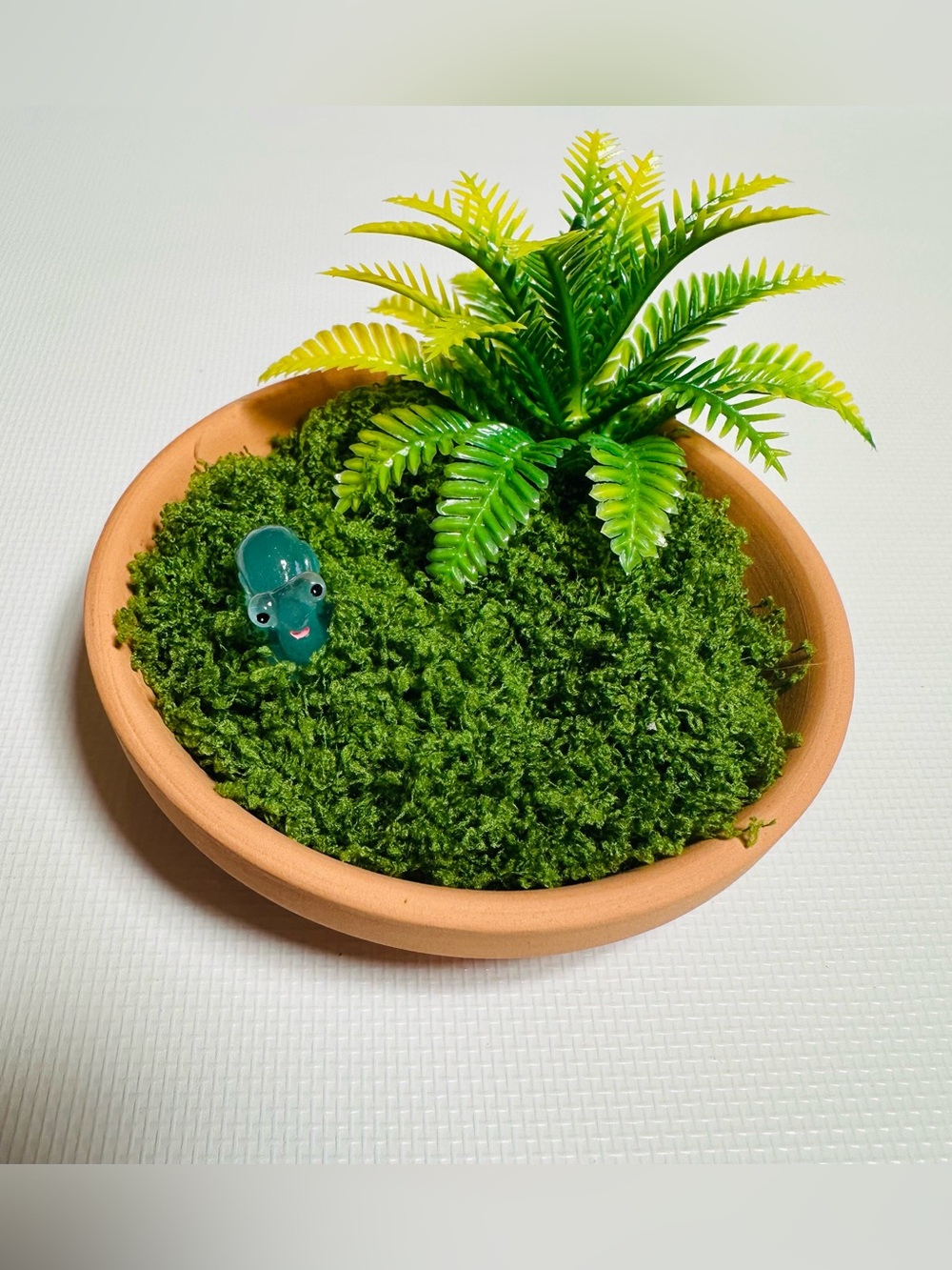 Terracotta Snail Planter with Green Moss & Mini Fern Accent